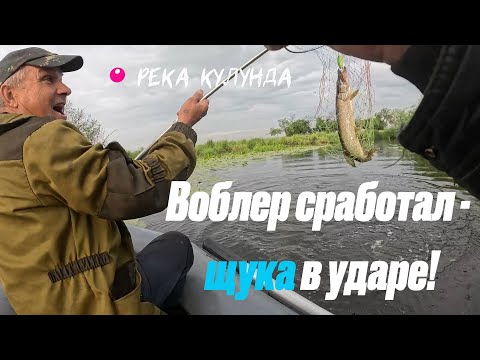 Видео: 📌 САМОДЕЛЬНЫЕ ЖЕРЛИЦЫ ЛОВЯТ ЩУК | РЕКА КУЛУНДА