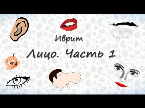 Видео: Части лица на иврите (часть 1). Запоминаем части лица на иврите