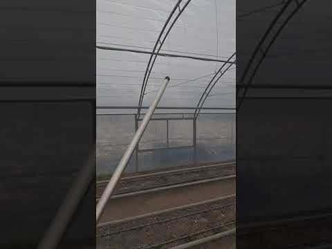 Видео: Оптимальная высота арочных теплиц и правильная вентиляция для проветривания.