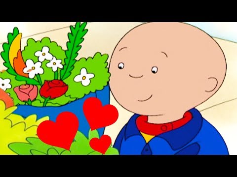 Видео: Каю и День Святого Валентина | Каю на русском | Мультфильм Каю | Мультики для детей