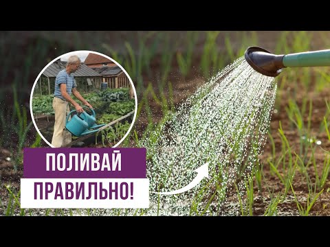 Видео: Как правильно поливать огород?
