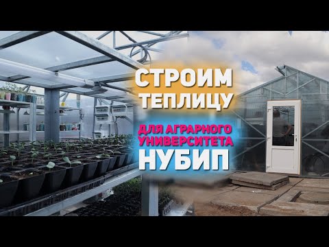 Видео: Идеальная теплица из поликарбоната по всем правилам для выращивания и экспериментов!