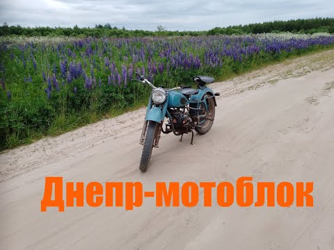 Видео: Днепр, с мотором от мотоблока