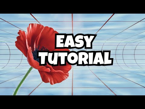 Видео: Карты рельефа упрощают создание реалистичных моделей маков в Blender