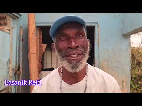 Видео: Getty Шаг за шагом