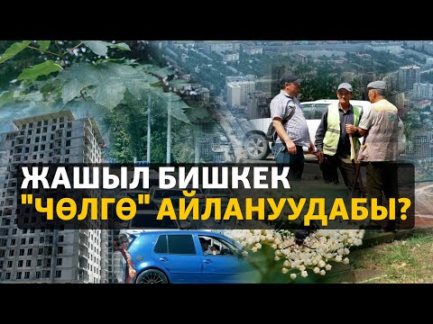 Видео: Жашыл Бишкек "чөлгө" айлануудабы? | ДАНИСТЕ