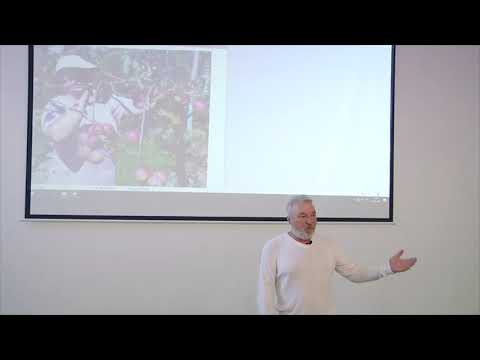 Видео: Рекомендованные сорта фруктовых деревьев для Приморского края (часть 6)