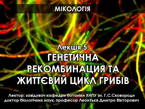 Видео: Мікологія 5. Генетична рекомбінація і життєвий цикл грибів (ОНОВЛЕНА)