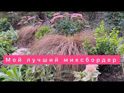 Видео: мой лучший миксбордер