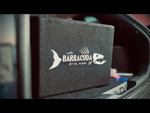 Видео: Установка активного сабвуфера DL-audio Barracuda 12A Flat на Jeep Cherokee KL