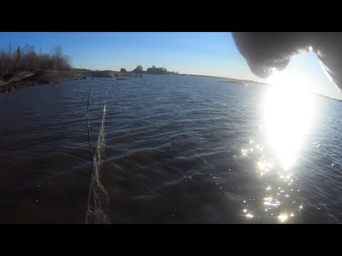 Видео: Первая рыбалка на море!Проснулся на скале ,а рыбы полные сетки!