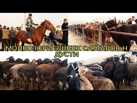 Видео: МОЛБОЗОРИ ЭШБЕК САТТАРОВ НАРХИ БУКА ГУСФАНД АРЗОН ШУД 26.10.2025. г