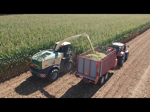 Видео: Уборка кукурузного силоса | Проблемы заполнения силоса