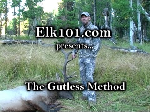 Видео: Метод полевой обработки лося от Elk101.com