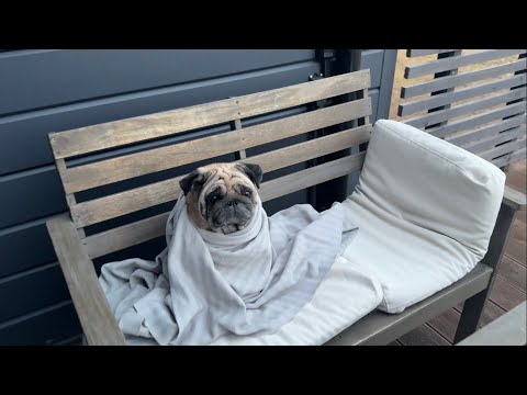Видео: Весна! Открываем дачный сезон, магазин Фамилия, Randewoo, покупки!🏠🌱♥️