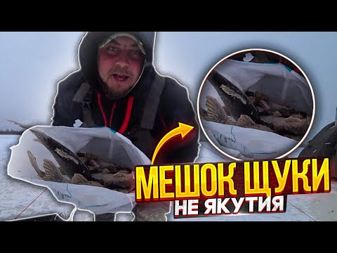 Видео: ПЕРВЫЙ ЛЁД! НАБИЛ МЕШОК ЩУКИ ДОМОЙ \ ЖЕРЛИЦЫ СРАБОТАЛИ СТО ПРОЦЕНТОВ \ ОКУНЬ НА БЛЕСНУ, ВЫЕЗД ДОМОЙ!
