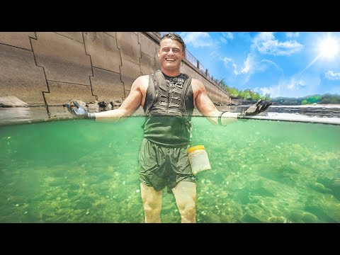 Видео: Как я нашел 1 000 000 долларов!