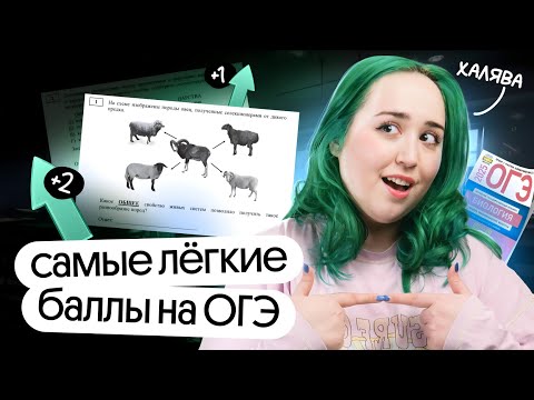 Видео: 🔥ТОЧНО НУЖНО ЗАБИРАТЬ! САМЫЕ лёгкие баллы на ОГЭ по БИОЛОГИИ 2025
