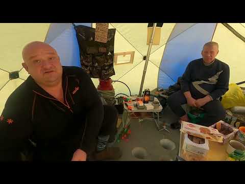 Видео: Карасёвая рыбалка ЧАНЫ. Огромная палатка на четверых изнутри! Family T Fast.Хватает ли теплообмена?