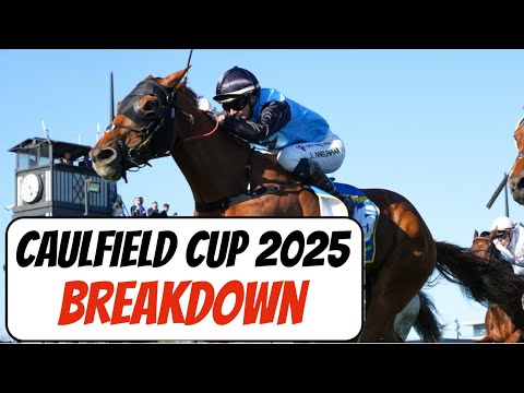 Видео: За кем следить на Кубке Мельбурна 2025 года! 🏆 Обзор Кубка Колфилда и Дня Эвереста!