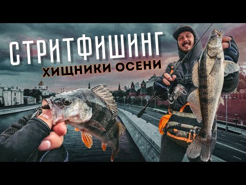 Видео: ХИЩНИКИ центра Москвы! СТРИТФИШИНГ. Осенняя рыбалка.