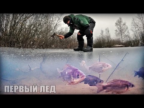 Видео: Вот где прячется рыба! ПЕРВЫЙ ЛЁД 2024-2025. Зимняя рыбалка. Подводная съёмка.