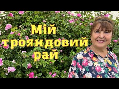 Видео: Наталя Фаліон (Лісапетний батальйон) - Мій трояндовий рай