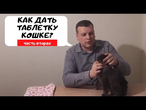 Видео: КАК ДАТЬ ТАБЛЕТКУ КОШКЕ? ЧАСТЬ ВТОРАЯ