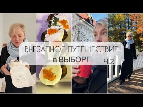 Видео: ВЛОГ/НАШ Выборг/ Обзор номера и отеля/ Рекомендации/Что привезла?