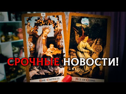 Видео: СРОЧНАЯ НОВОСТЬ! Как Высшие Силы видят вашу ситуацию?