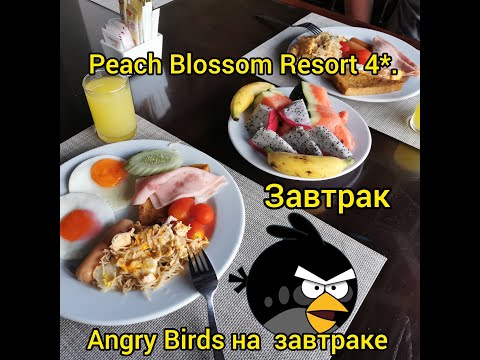 Видео: Angry Birds на завтраке в отеле Peach Blossom Resort 4*. Общительный птиц. #тайланд