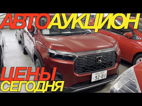 Видео: ЯПОНЦЫ В ШОКЕ ПОСЛЕ ПАДЕНИЯ РУБЛЯ / SUZUKI SOLIO BANDIT HONDA STEPWGN TOYOTA COROLLA SUBARU LEVORG