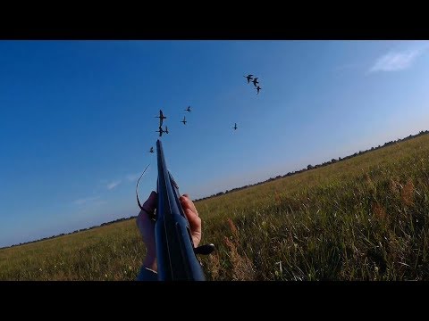 Видео: Как стрелять и попадать. ОХОТА НА УТКУ 2019