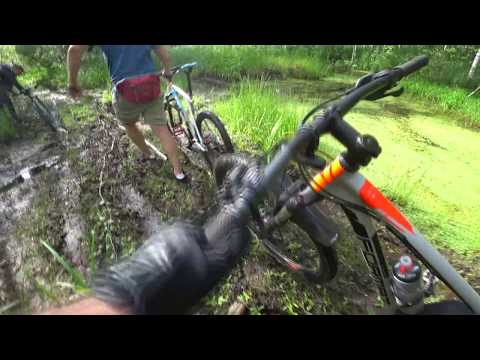 Видео: По болотам на велосипеде ПВД