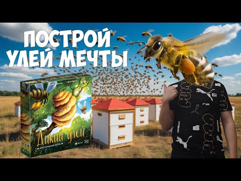 Видео: Обзор настольной игры ДИКИЙ УЛЕЙ / Медовая игра для всей семьи