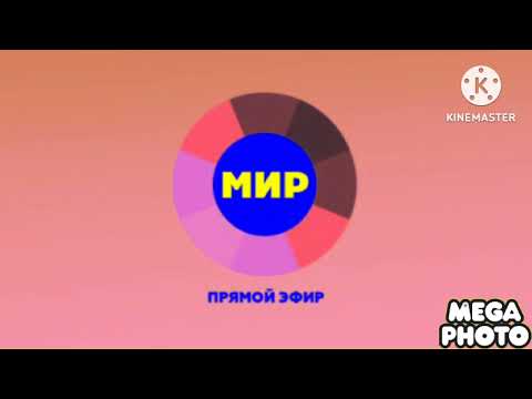 Видео: 25 октября 2025 г.