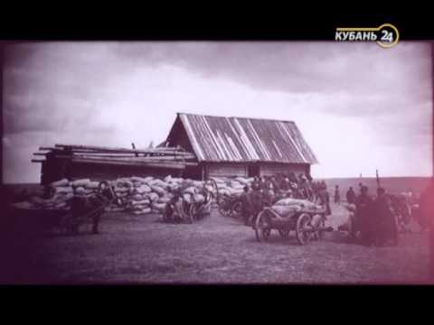 Видео: 16.07.2016 «Человек труда». Ветеринар