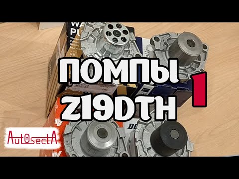 Видео: Помпы (водяные насосы) Z19DTH Обзор I Часть 1