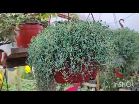 Видео: обзор!20.02.25(номер 2)