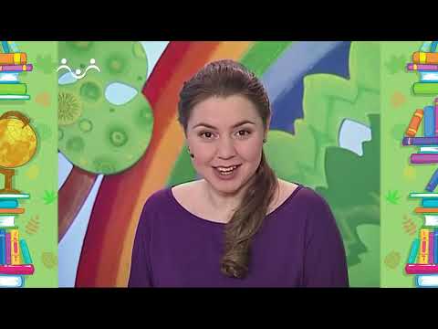 Видео: Школа Шишкиного Леса. Природоведение. Неперелётные птицы