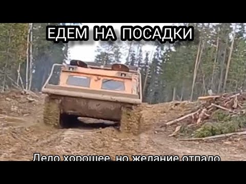 Видео: Работа на Севере,на посадках#automobile#работа#fire