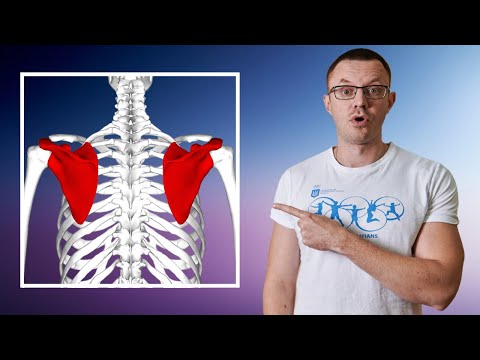 Видео: Как Избавиться от Торчащих Лопаток? Торчат Лопатки Что Делать?