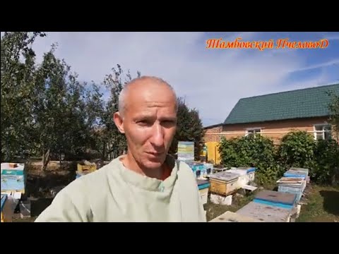 Видео: 04 сентября - Начали осеннюю ревизию пасеки, закорм.