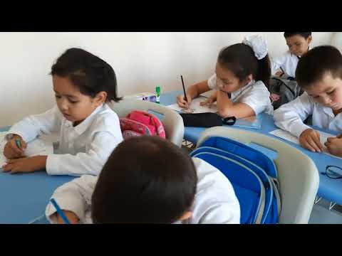 Видео: Изобразительное искусство