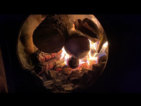 Видео: Как же вовремя я успел! Для меня это  шок,таких Грибов мы ещё здесь не собирали,ведро за две минуты!