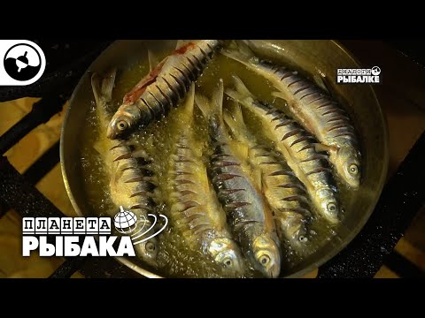 Видео: Морская рыбалка. Азербайджан | Планета рыбака