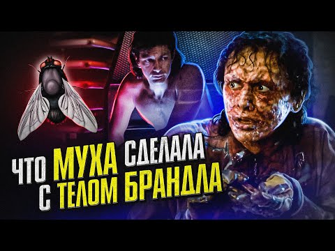 Видео: Что МУХА сделала с телом Брандла