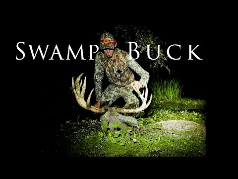 Видео: Охота с луком на общественных землях Кентукки | SWAMP BUCK (Insane Recovery)