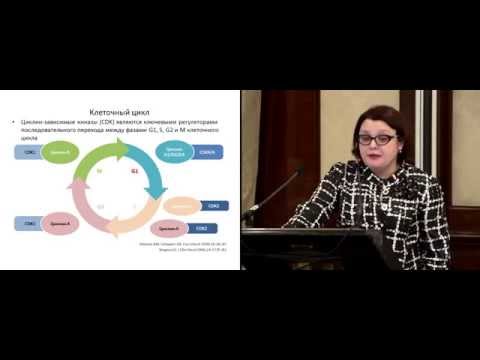 Видео: Перспективные направления лечения гормонозависимого РМЖ, палбоциклиб