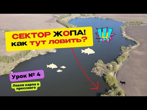 Видео: ЛОВЛЯ КАРПА В ПРЕССИНГЕ! Практические советы! ШКОЛА КАРПФИШИНГА | УРОК #4